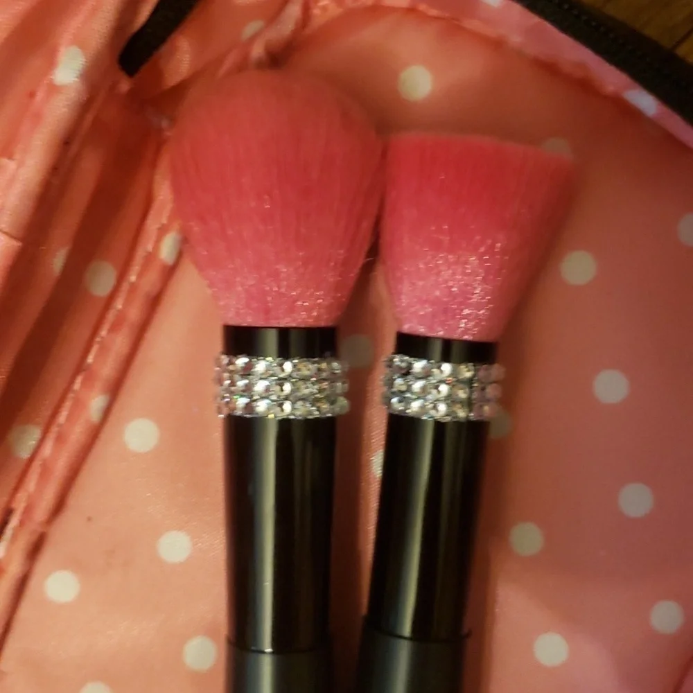 Makeup bag with new brushes